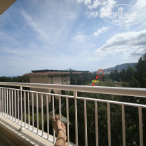 фото из отзыва ID 2643163