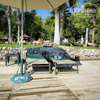 фото из отзыва ID 2643163