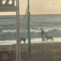 фото из отзыва ID 2643196