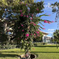 фото из отзыва ID 2643205