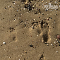 фото из отзыва ID 2643205