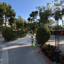 фото из отзыва ID 2643205