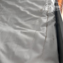 фото из отзыва ID 2643212