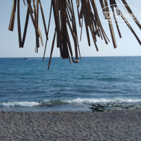 фото из отзыва ID 2643249