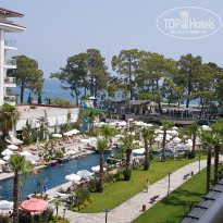 фото из отзыва ID 2643273