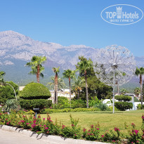 фото из отзыва ID 2643273