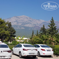 фото из отзыва ID 2643273