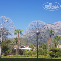 фото из отзыва ID 2643273