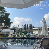 фото из отзыва ID 2643273