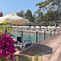 фото из отзыва ID 2643273