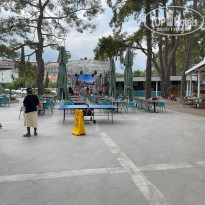 фото из отзыва ID 2643273