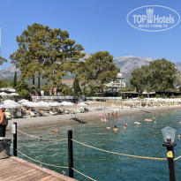 фото из отзыва ID 2643273