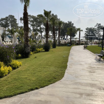 фото из отзыва ID 2643273