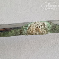 фото из отзыва ID 2643281