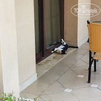 фото из отзыва ID 2643352