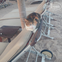 фото из отзыва ID 2643352