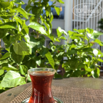 фото из отзыва ID 2643400