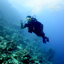 фото из отзыва ID 2643424