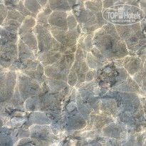 фото из отзыва ID 2643424