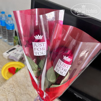 фото из отзыва ID 2643454