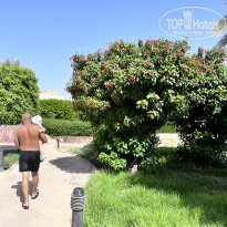 фото из отзыва ID 2643454