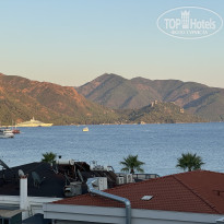 фото из отзыва ID 2643510