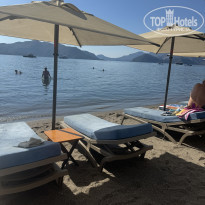 фото из отзыва ID 2643510