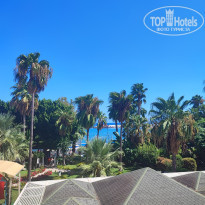 фото из отзыва ID 2643571