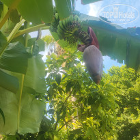 фото из отзыва ID 2643571