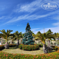 фото из отзыва ID 2643585