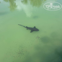 фото из отзыва ID 2643585