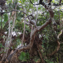 фото из отзыва ID 2643585