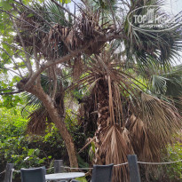 фото из отзыва ID 2643585