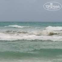 фото из отзыва ID 2643585