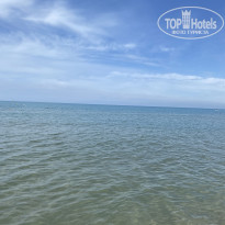 фото из отзыва ID 2643258