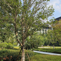 фото из отзыва ID 2643635