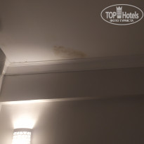 фото из отзыва ID 2643632