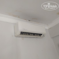 фото из отзыва ID 2643632