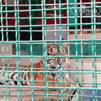 фото из отзыва ID 2643123