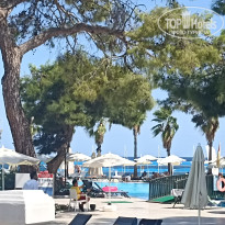 фото из отзыва ID 2643680