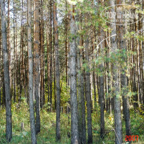 фото из отзыва ID 2643679