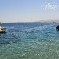 фото из отзыва ID 2643691