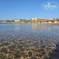 фото из отзыва ID 2643691