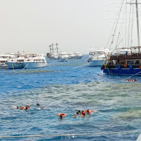 фото из отзыва ID 2643707