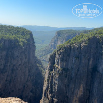 фото из отзыва ID 2642621