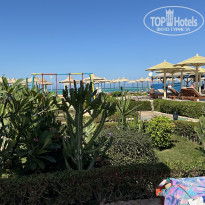 фото из отзыва ID 2643805