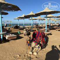 фото из отзыва ID 2643805