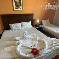 фото из отзыва ID 2643805