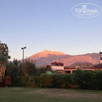 фото из отзыва ID 2643841