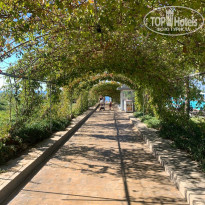 фото из отзыва ID 2643878